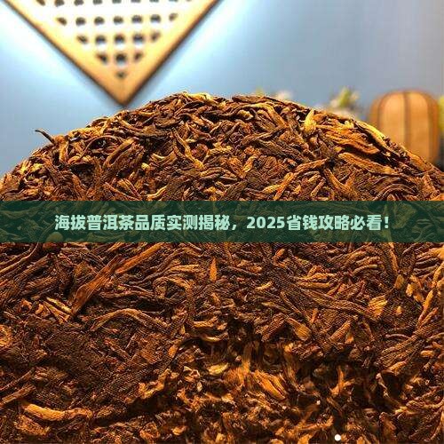 海拔普洱茶品质