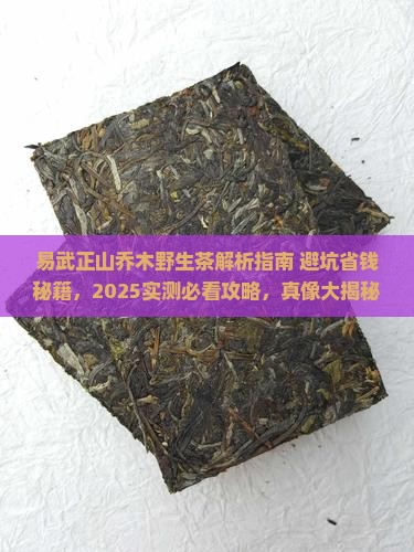 易武正山乔木野生茶