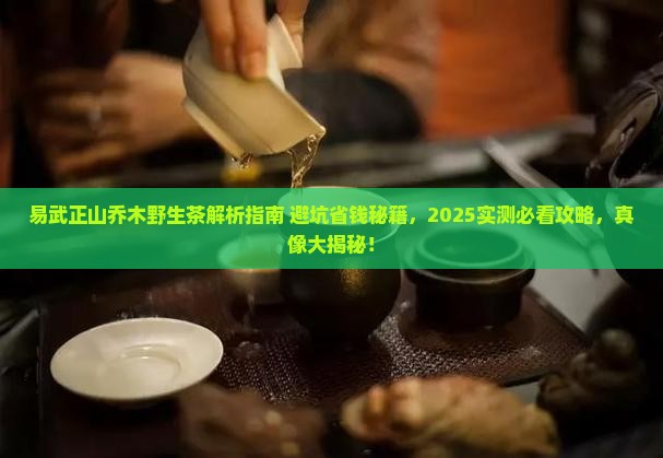 易武正山乔木野生茶