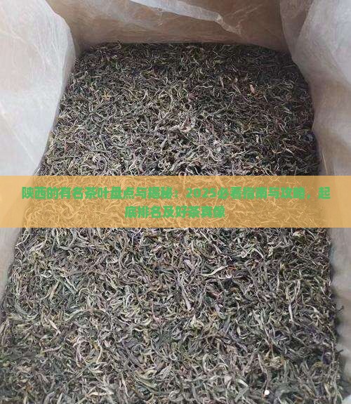 陕西的有名茶叶