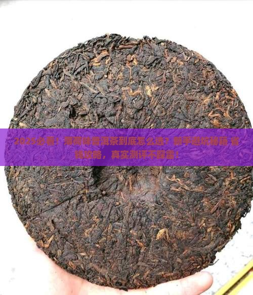 薄荷味的普洱茶