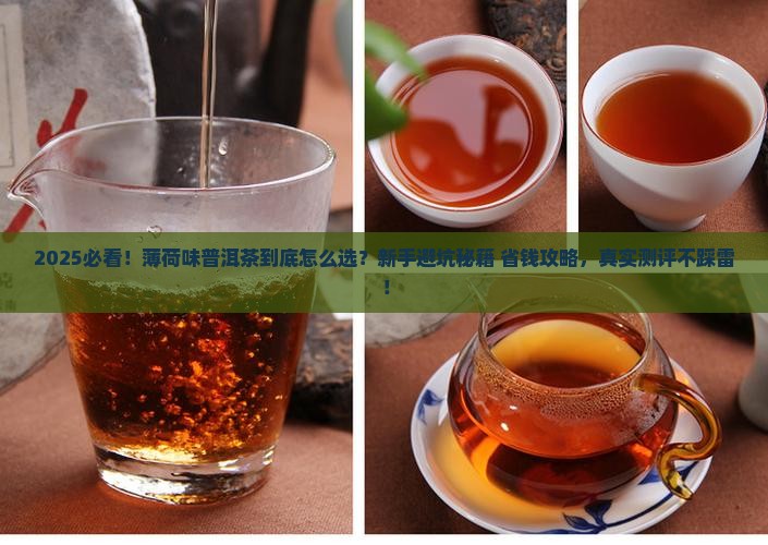薄荷味的普洱茶