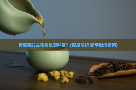 普洱茶兰花香是什么茶