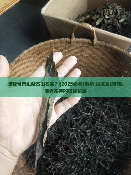 陈苍号普洱茶名山名寨