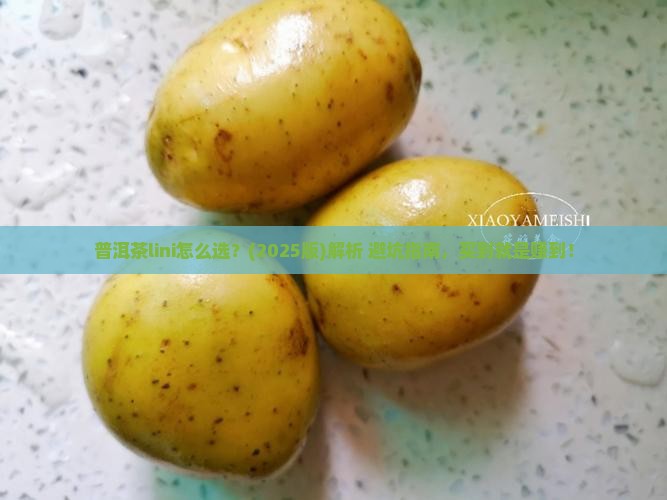 普洱茶lini
