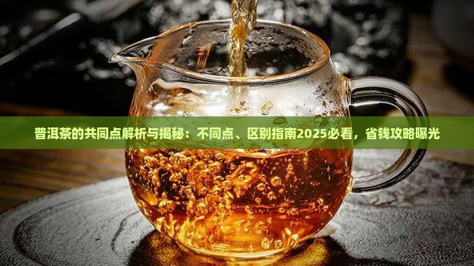 普洱茶的共同点