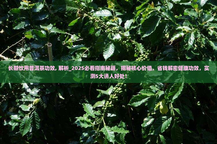 长期饮用普洱茶功效