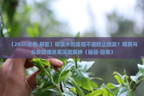 喝茶水能不能防脱发
