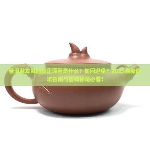 普洱茶怎么才会发霉