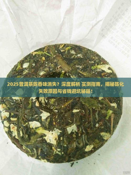 普洱茶为什么没有陈香味