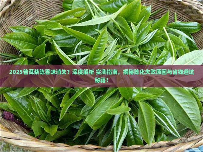 普洱茶为什么没有陈香味