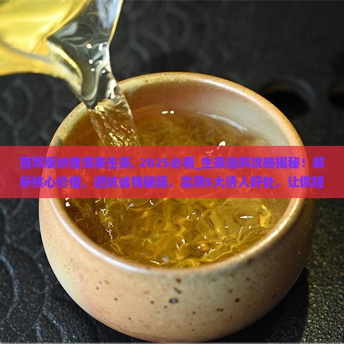 西双版纳普洱茶生茶