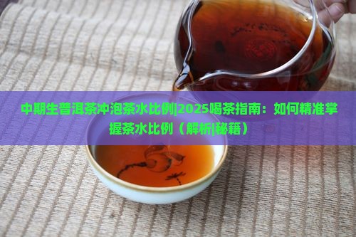 中期生普洱茶冲泡茶水比例