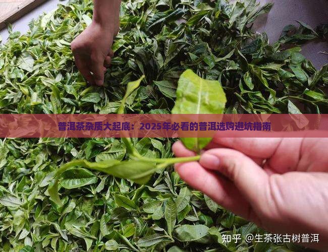 普洱茶里有杂物