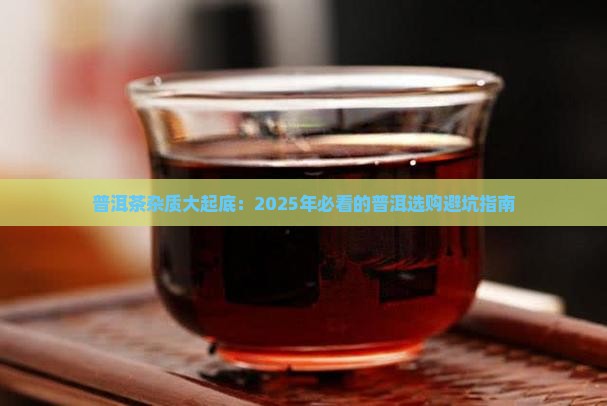 普洱茶里有杂物