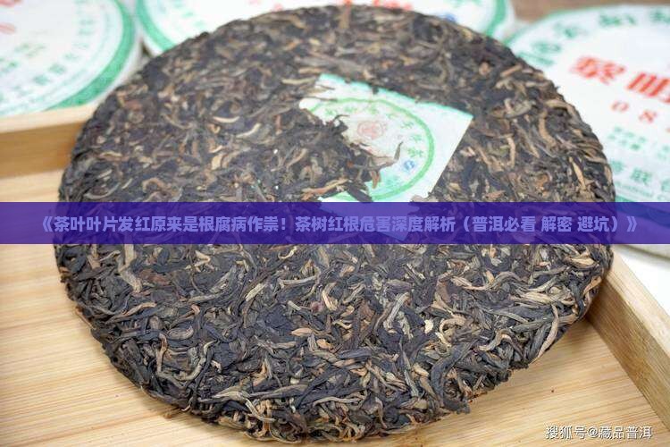 茶叶叶片发红是什么病 茶叶叶片发红是什么病