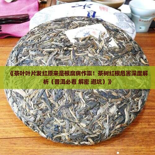 茶叶叶片发红是什么病 茶叶叶片发红是什么病