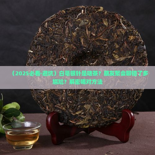 白毫银针属什么茶类