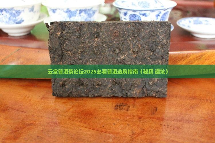 中国普洱茶论坛原云堂静叶