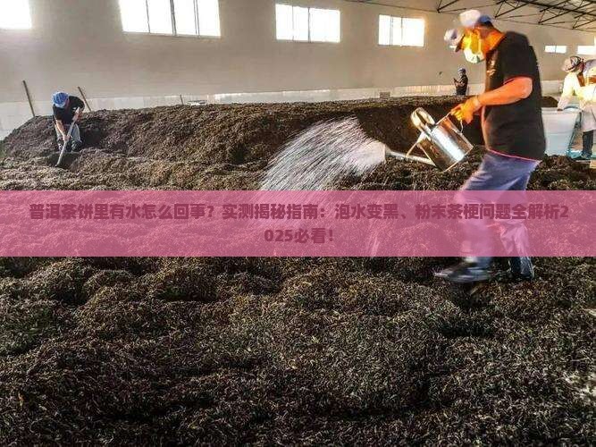 普洱茶饼里有水怎么回事
