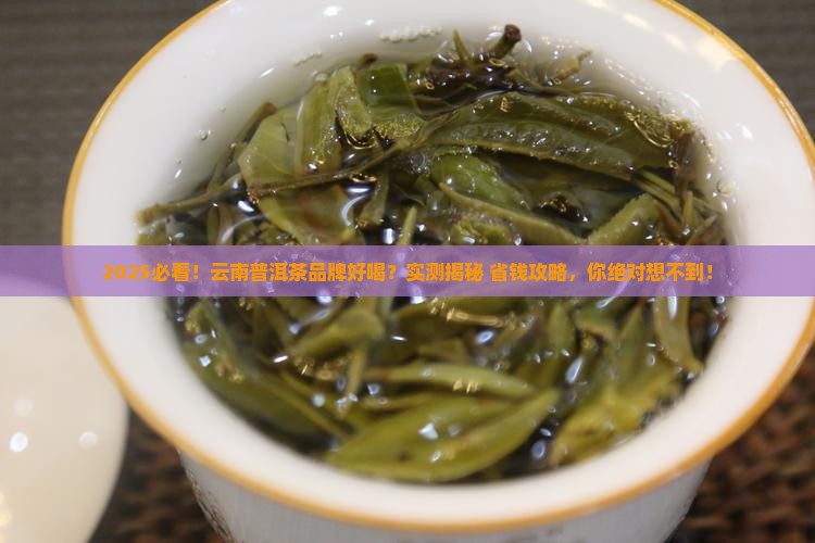 云南普洱茶品牌好喝