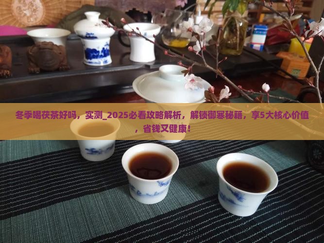 冬季喝茯茶好吗