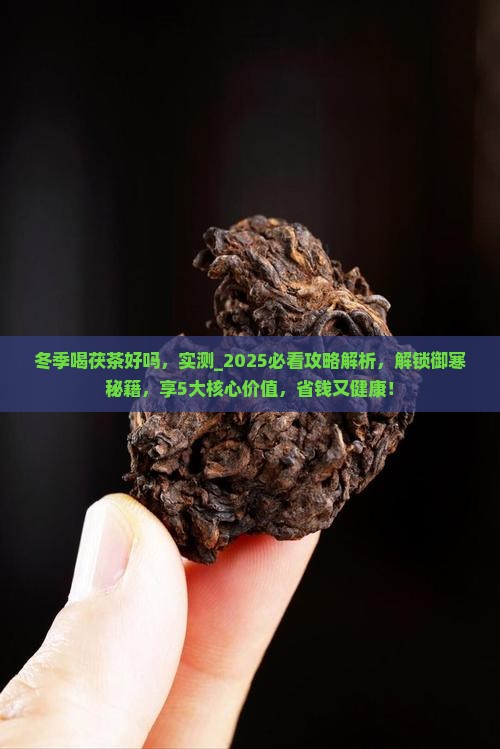 冬季喝茯茶好吗