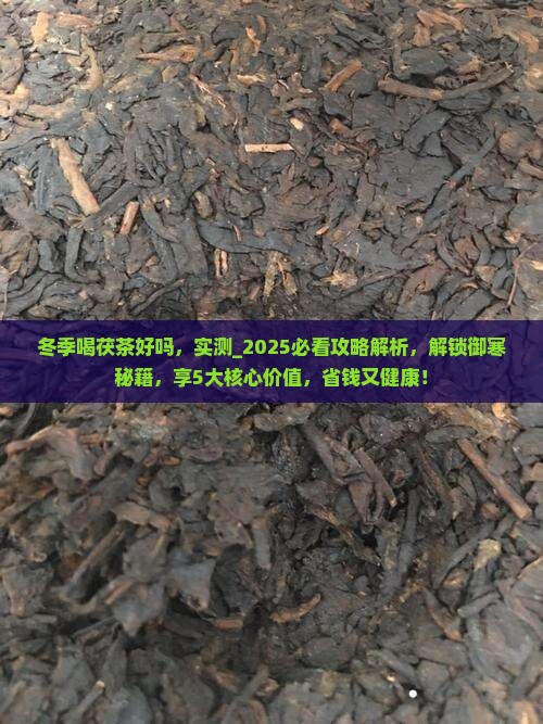 冬季喝茯茶好吗