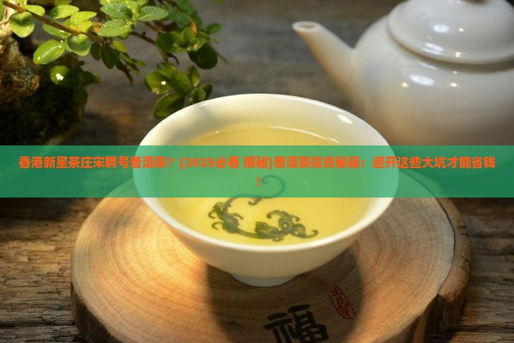 香港新星茶庄宋聘号普洱茶