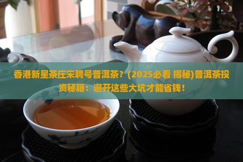 香港新星茶庄宋聘号普洱茶
