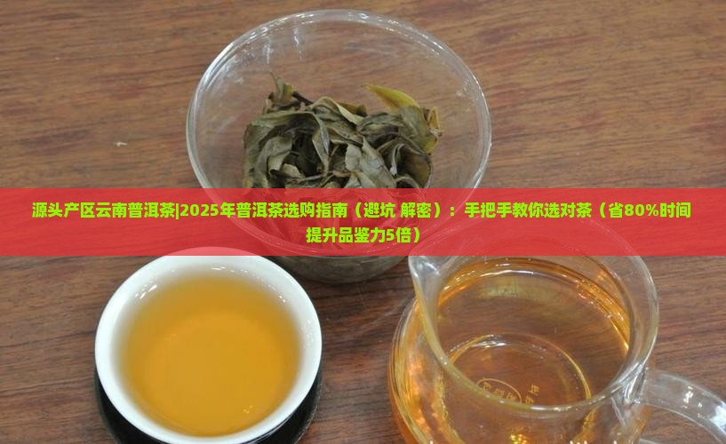 源头产区云南普洱茶