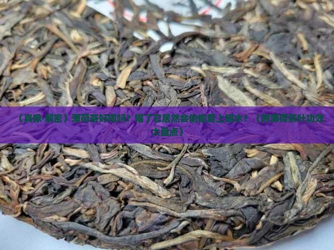 薄荷茶好喝吗薄荷茶叶有什么功效