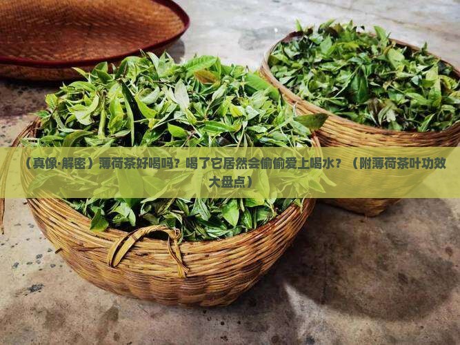 薄荷茶好喝吗薄荷茶叶有什么功效
