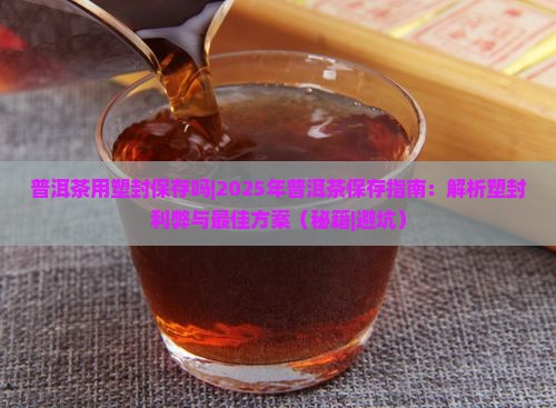 普洱茶用塑封保存吗