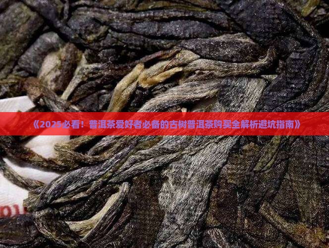 如何买到古树普洱茶