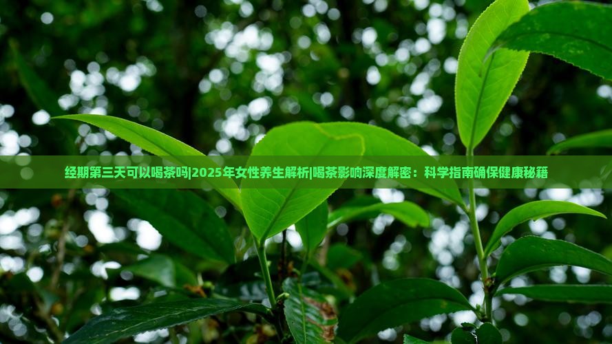 经期第三天可以喝茶吗