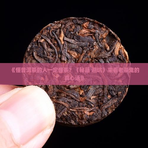 懂普洱茶的人一定懂茶