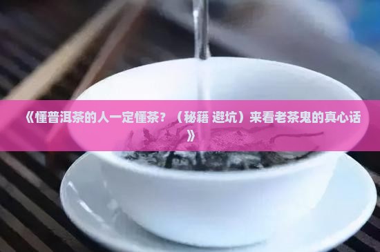 懂普洱茶的人一定懂茶