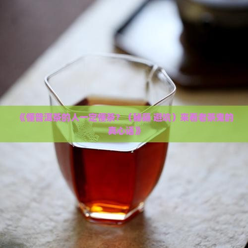 懂普洱茶的人一定懂茶