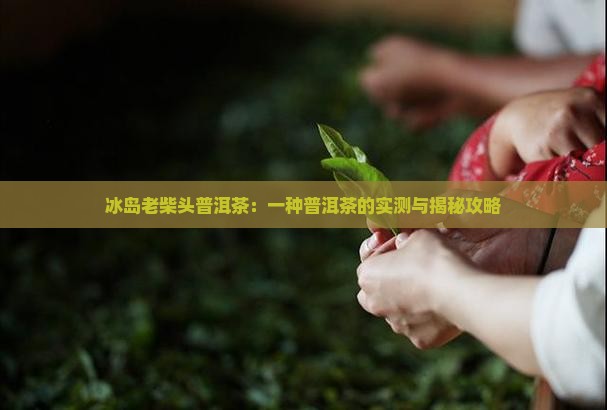冰岛老柴头普洱茶