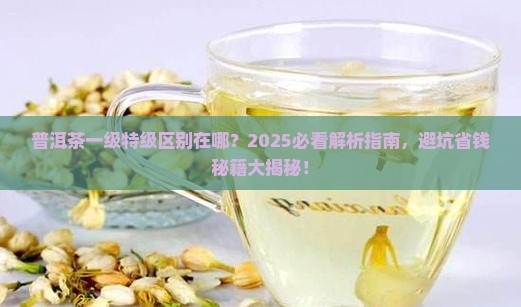 普洱茶一级特级区别在哪