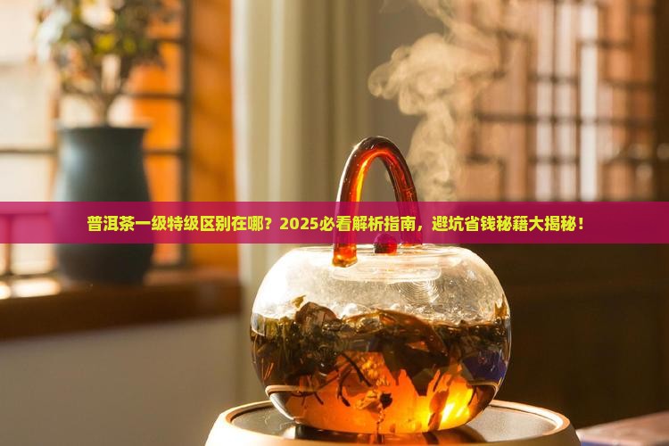 普洱茶一级特级区别在哪