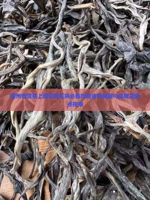 福州普洱茶上哪买的