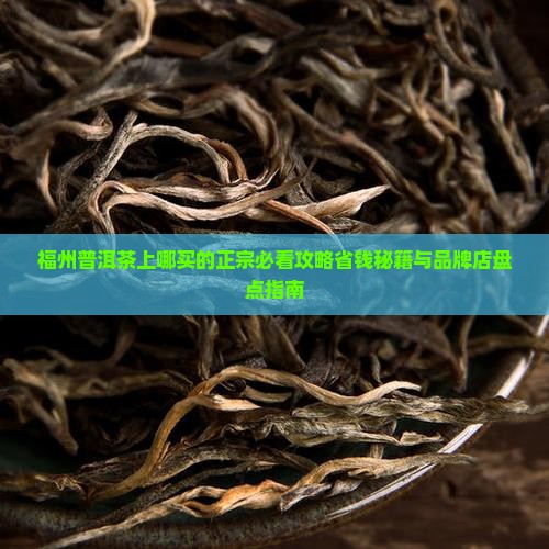 福州普洱茶上哪买的