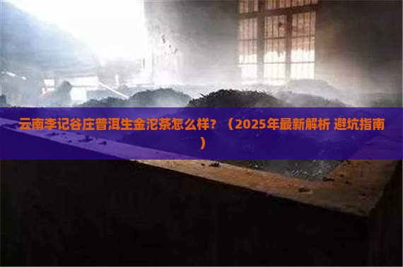 云南李记谷庄普洱生金沱茶