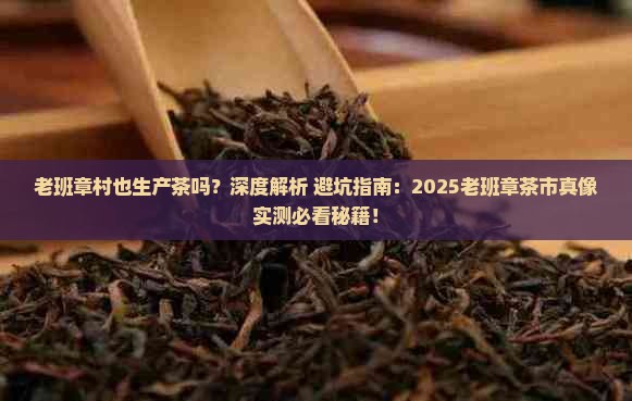 老班章村也生产茶吗