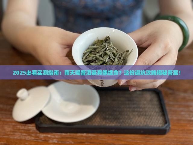 雨天可以喝普洱茶吗