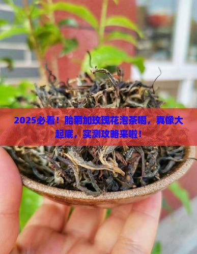 胎菊加玫瑰花泡茶喝吗