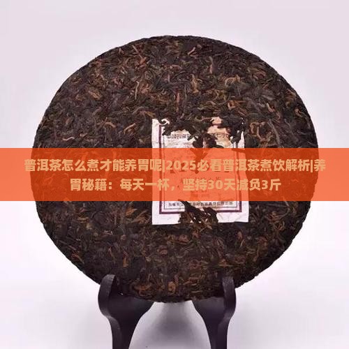普洱茶怎么煮才能养胃呢