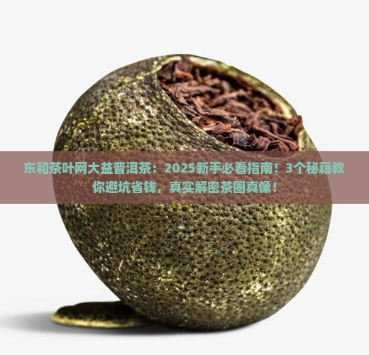 东和茶叶网大益普洱茶
